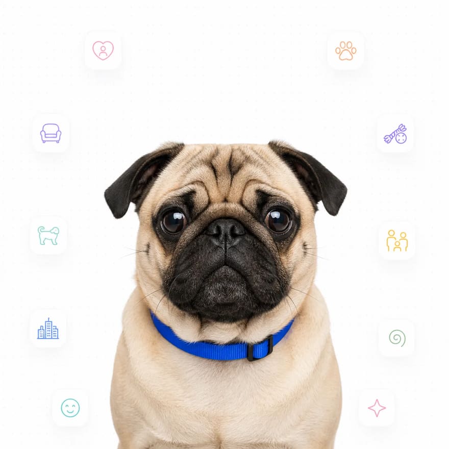 Pug